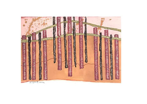 Barbara Beck 2002 Abstract Watercolor Painting on Paper