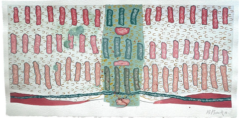 Barbara Beck 2006 Abstract Watercolor Painting on Paper