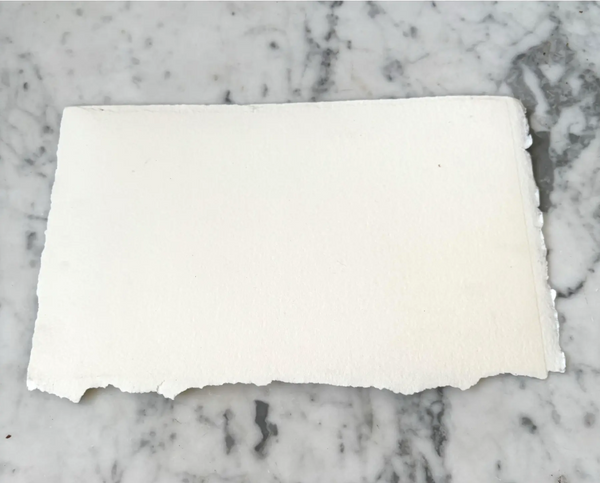 Barbara Beck 1996 Abstract Monoprint on Paper