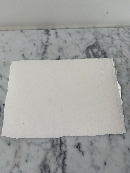 Barbara Beck 1995 Abstract Monoprint on Paper