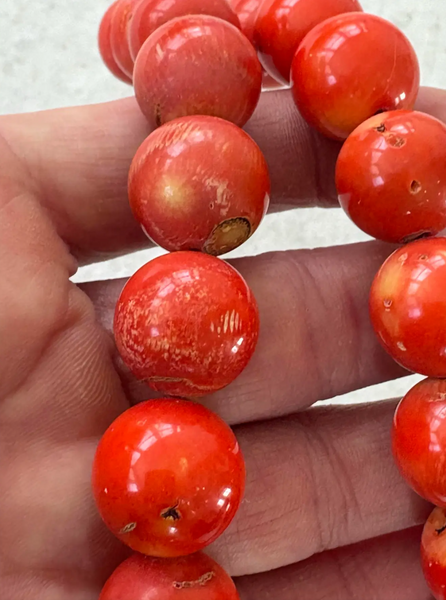 17" Coral Beaded Necklace With Silver Tone Hook Clasp - Designed by Matthew Izzo