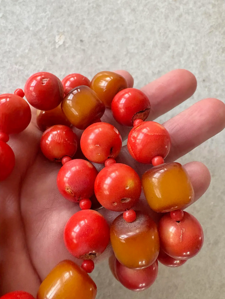 22.5" Coral Beaded Necklace With African Synthe Amber Accents and Gold Tone Hook Clasp - Designed by Matthew Izzo