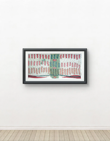 Barbara Beck 2006 Abstract Watercolor Painting on Paper