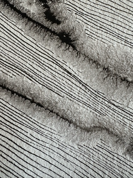 Barbara Beck 1970s Abstract Ink on Paper