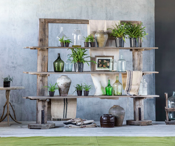 Primitive Potter's Shelf - Matthew Izzo Collection