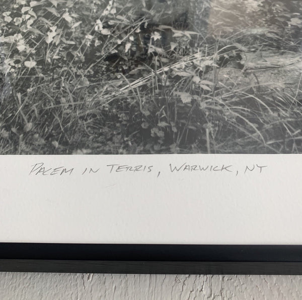 Original Eric Lindbloom Landscape Titled 'Pacem in Terris, Warwick'