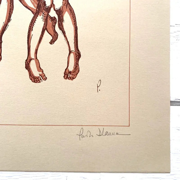 Paolo D’Anna Signed Lithograph Edition, Petrushka Ballet